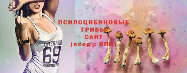 бошки Алзамай